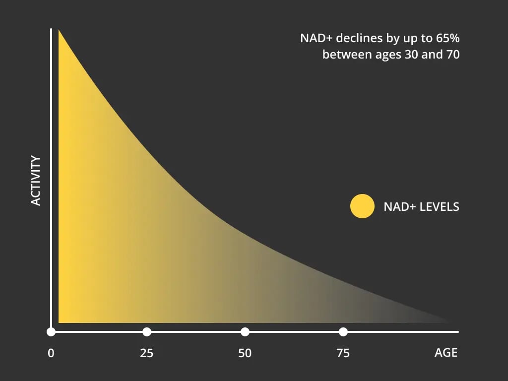 ¿Por qué disminuyen los niveles de NAD con la edad?
