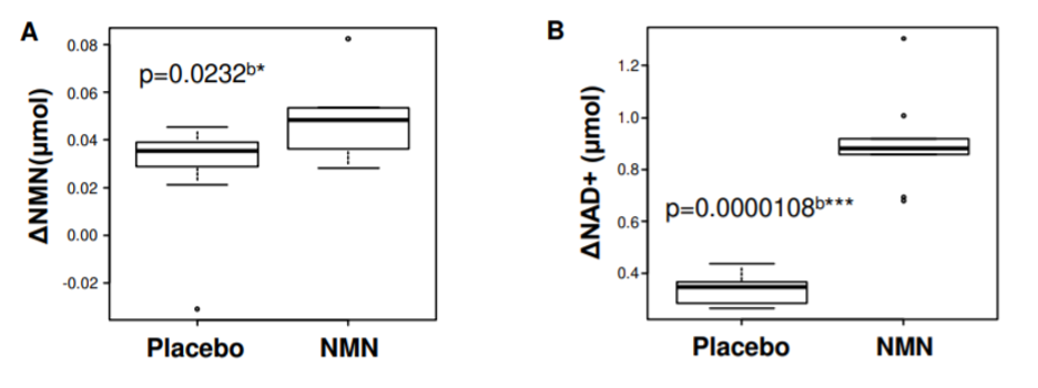 La figure (A) montre une nette augmentation des taux sanguins de NMN par rapport au placebo, tandis que la figure (B) montre une augmentation des taux sanguins de NAD.