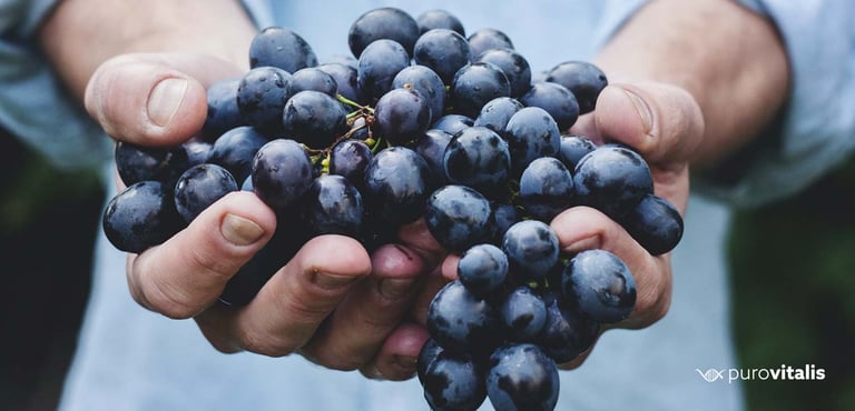 Il resveratrolo è una vitamina anti-invecchiamento contenuta nell'uva.