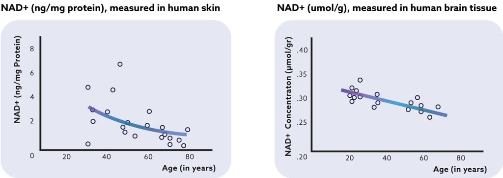 Gráfico que muestra el descenso de los niveles de NAD con la edad, ilustra la diferencia entre NAD y NADH y destaca las formas naturales de aumentar el NAD.