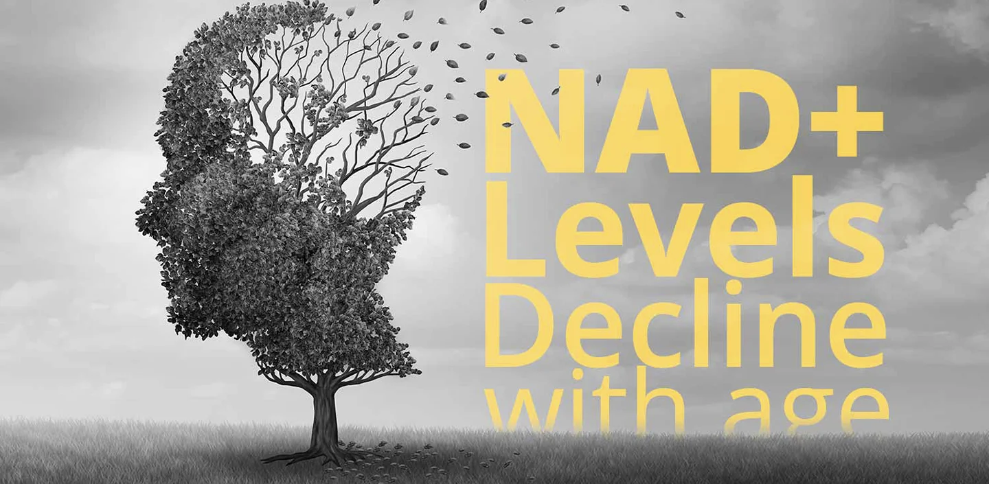 Nad+ levels decline with age, do you need to boost nad levels. What can you expect when boosting nad levels?