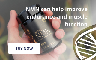NMN can help improve endurance and muscle function